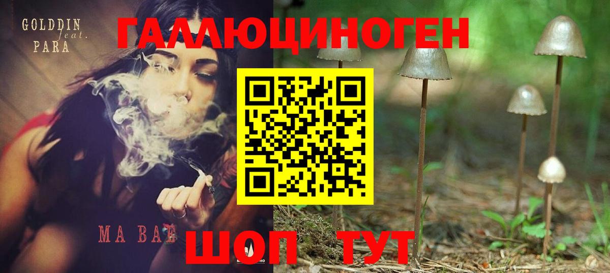купить   Вход с VPN  Псилоцибиновые грибы Psilocybe  Ульяновск  Псилоцибиновые грибы Cubensis 