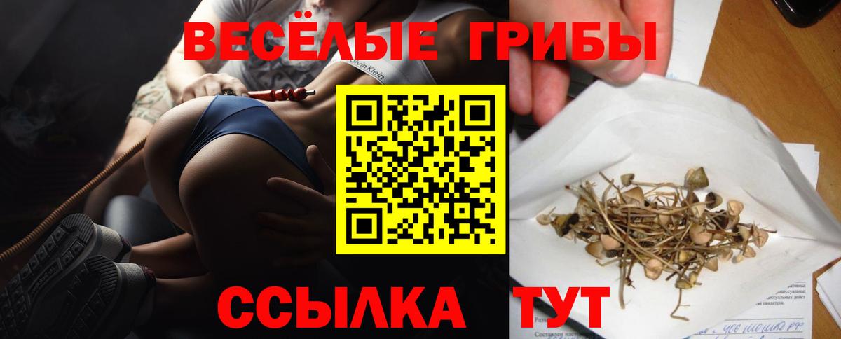 Галлюциногенные грибы прущие грибы Ульяновск